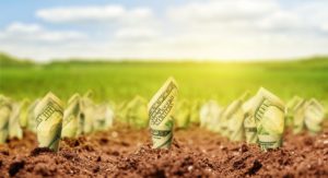 Financial Literacy